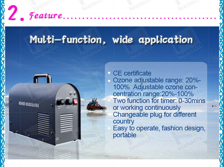 7g / Hr Portable Commercial Ozone Generator Removing Odor / Washing Fruits Use