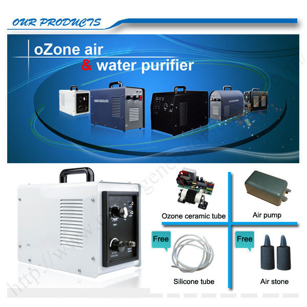 110V / 220V Household Ozone Generator For Vegetables And Fruits Washing