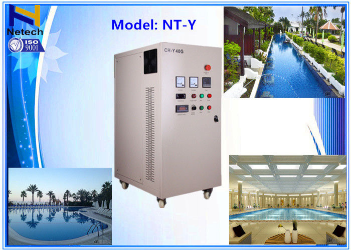 110V Swimming Pool Ozone Generator Water clean 40g -100g Domestic  Certification