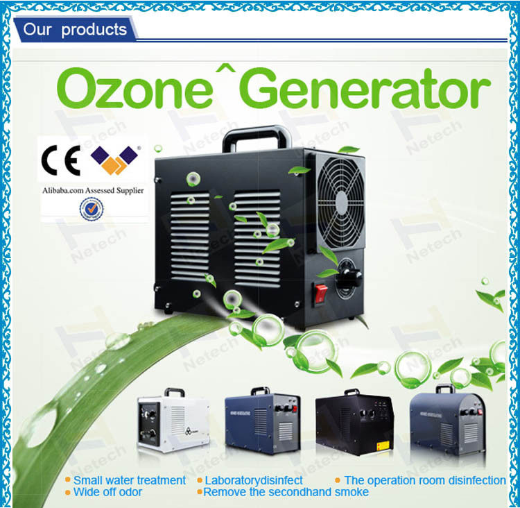 220V 50HZ Household Ozone Generator , home water ozonator treatment